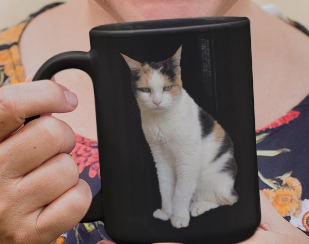 Calico Cat Mug, Cool Cat Gift, Crazy Cat Lady, Cat Person, Cat Mom