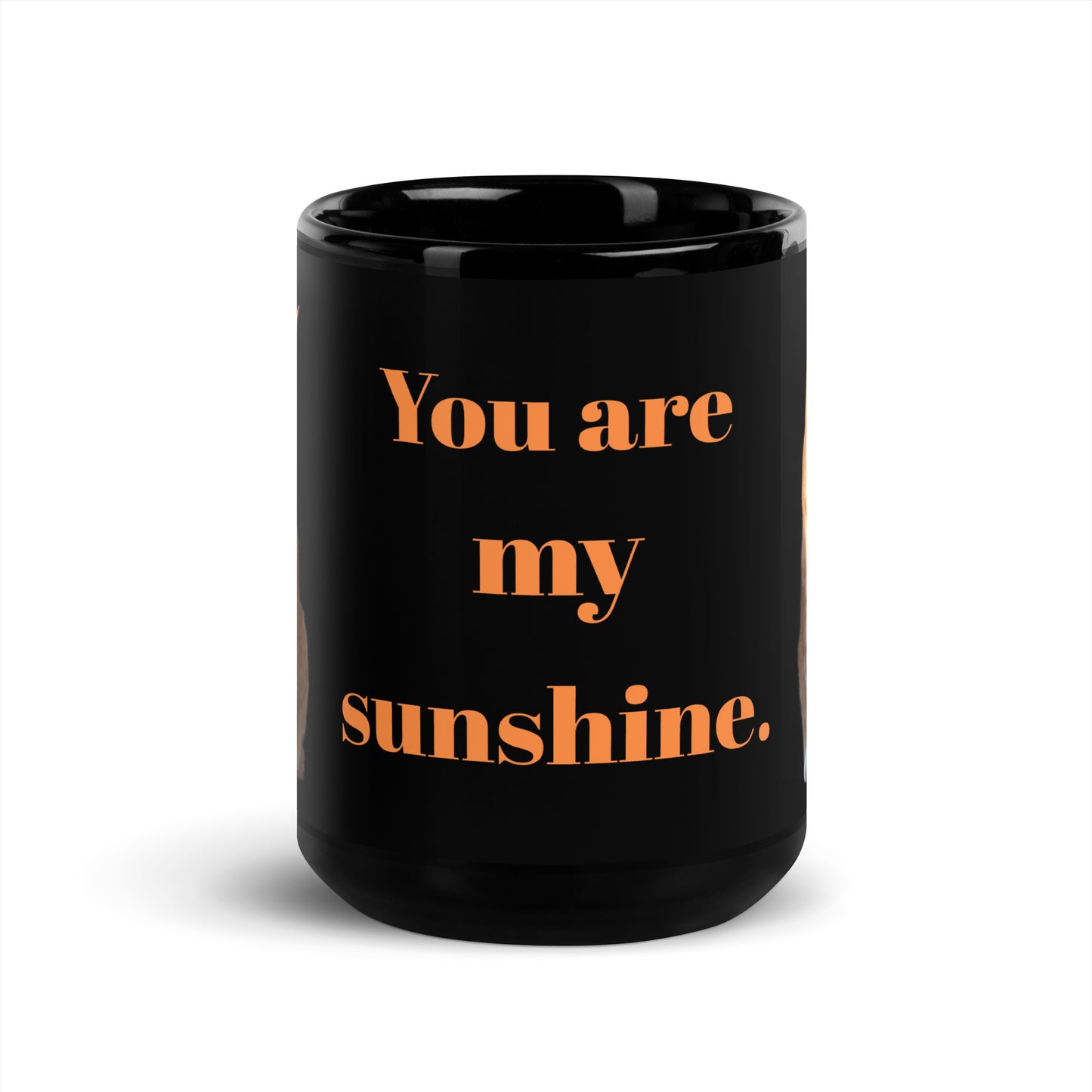 Orange Tabby Cat Mug, You Are My Sunshine, Cat Person Gift